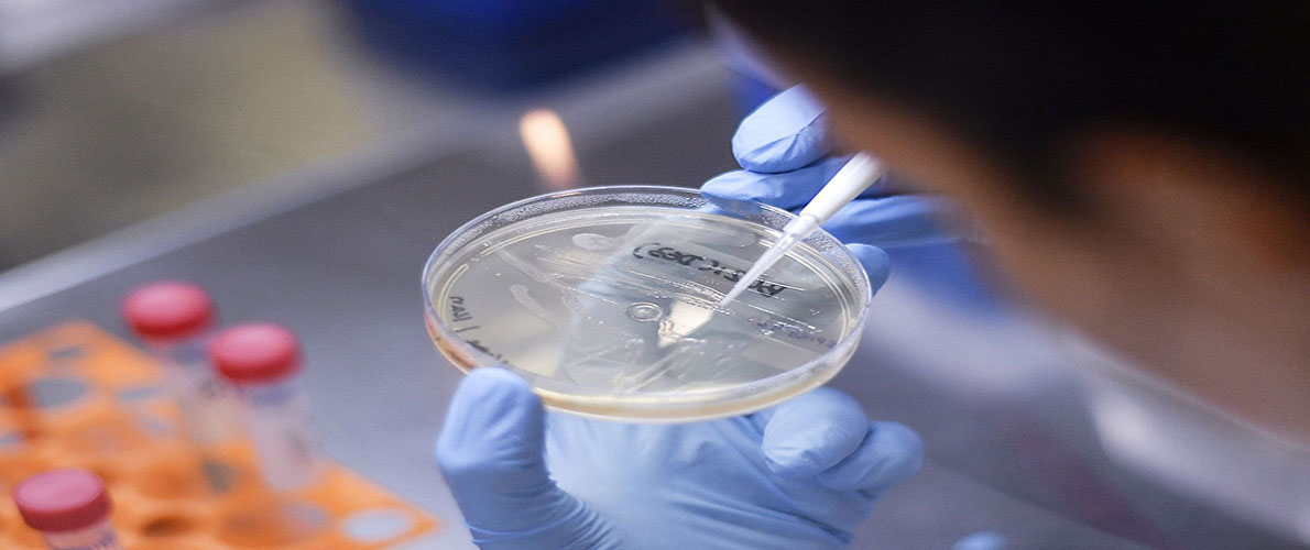 تعليق التجارب السريرية للقاح البريطاني ضد كورونا