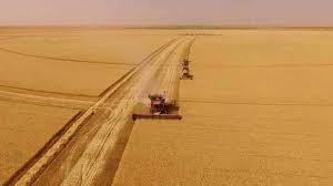 روسيا تعلق صادراتها من الحبوب