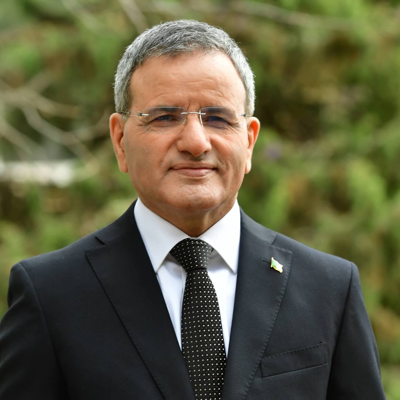 اللواء علي غديري يطالب بـ 