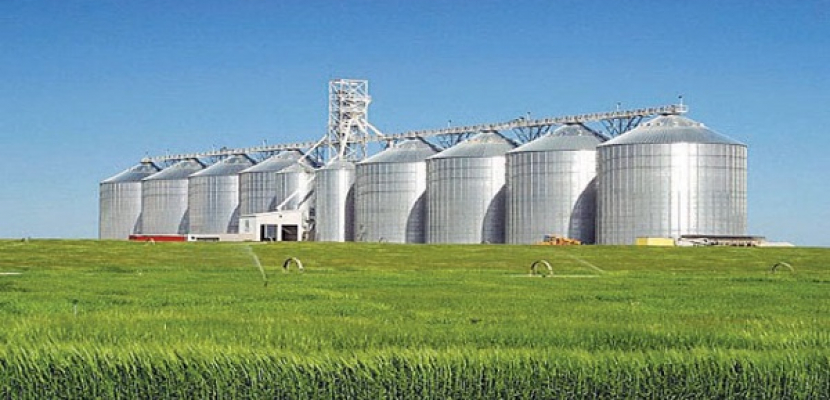 مصر تعتزم إنشاء مخازن عملاقة