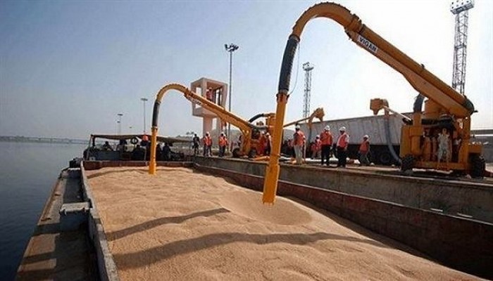 مصر: مناقصة دولية لشراء كمية غير محددة من القمح