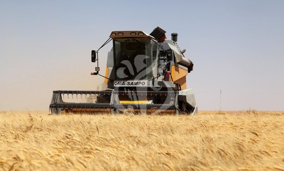 وزارة الفلاحة: 