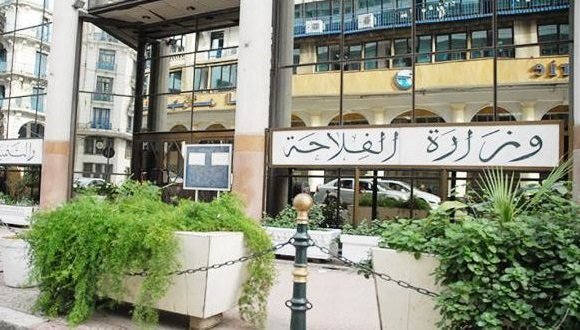 حمداني: ديوان وطني للاستثمار الفلاحي قريبا