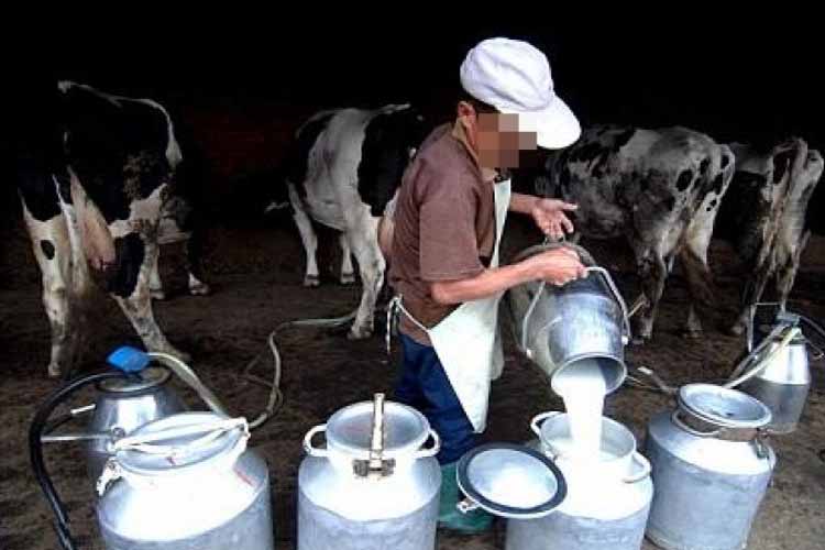 إتفاق بين المربين والمحولين حول ثمن الحليب الطازج