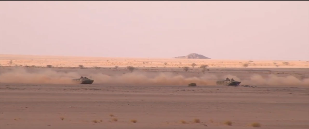 آخر المستجدات في الصحراء الغربية