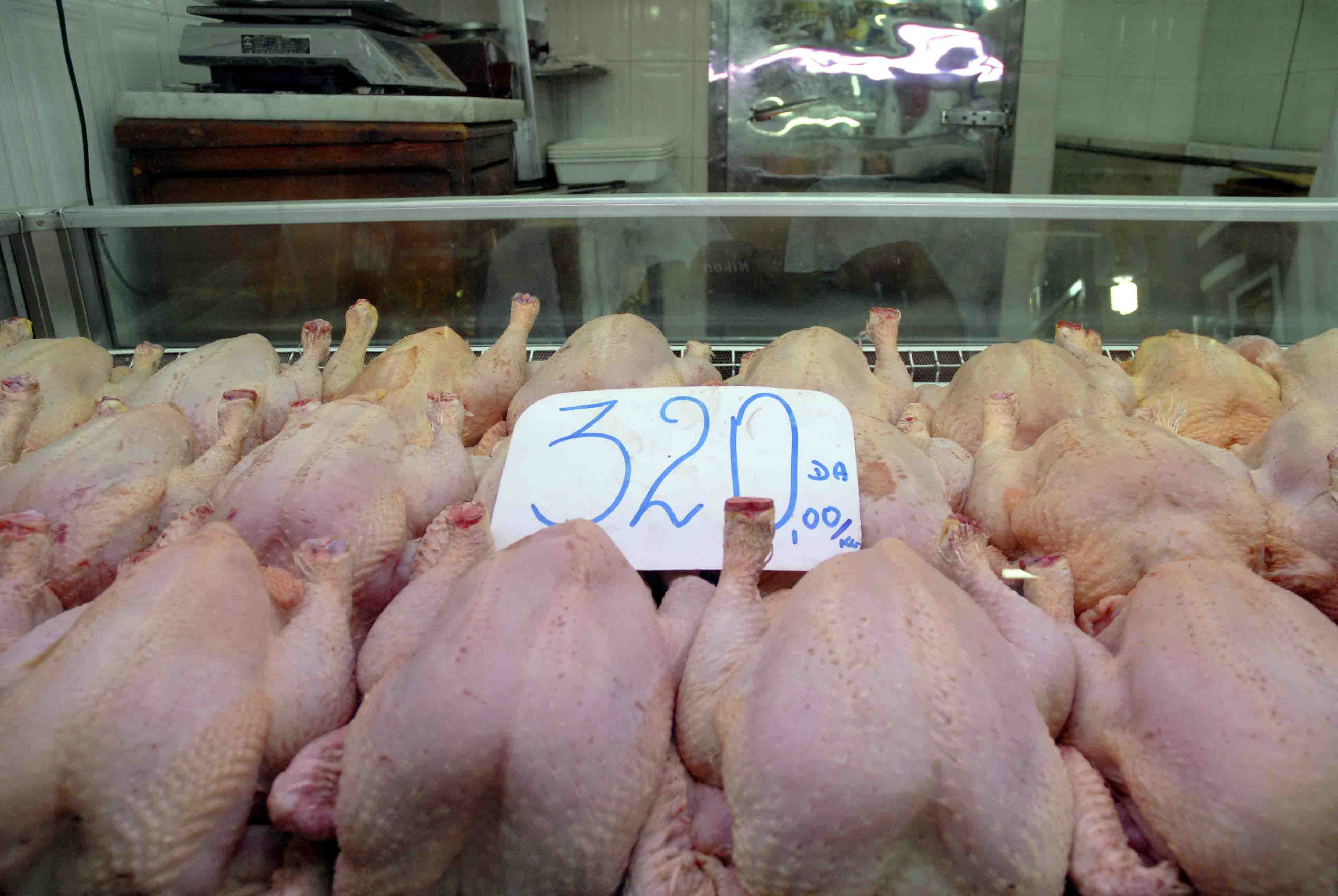 هذه هي أسباب ارتفاع سعر الدجاج