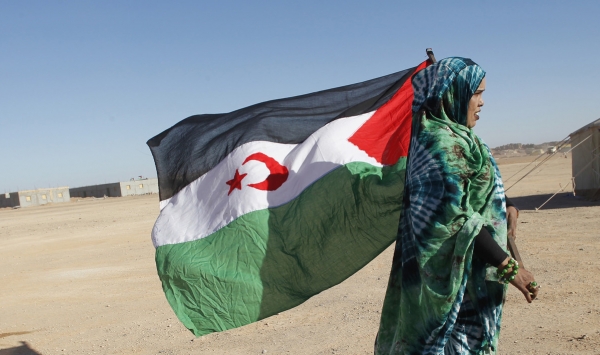 أميناتو حيدر: ما يحدث في الأراضي المحتلة تخبط مغربي