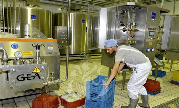 فرع الحليب: إجراءات لتجاوز الصعوبات