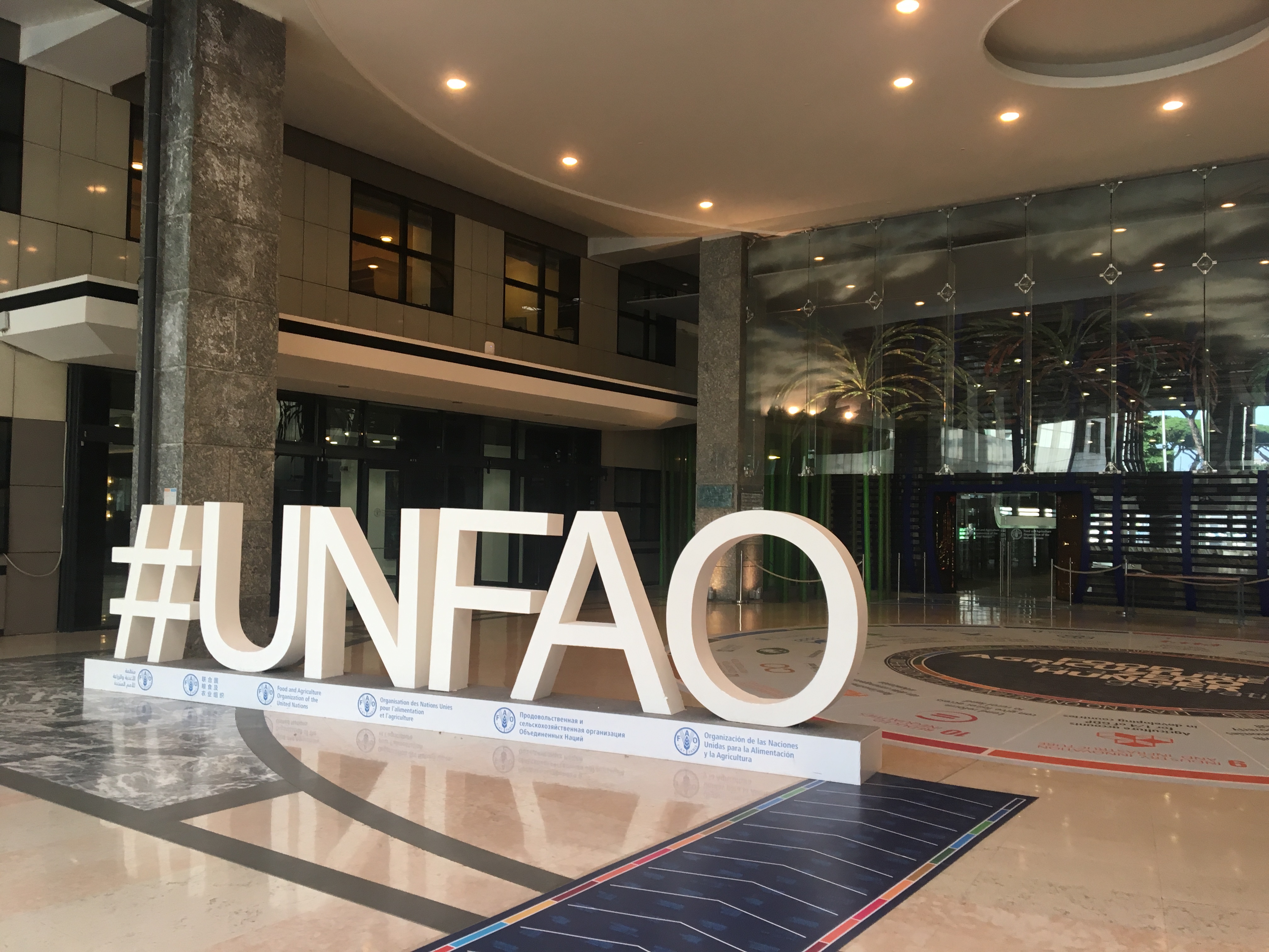 ارتفاع أسعار الغذاء العالمي