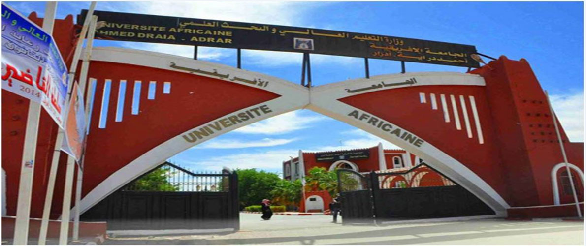 ويبينار دولي حول الممارسة الإعلامية في ظل البيئة الرقمية 