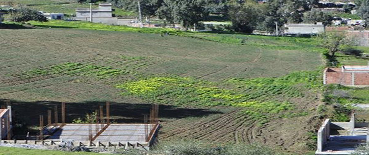 تيبازة: السماح للفلاحين بالتنقل خارج أوقات الحجر